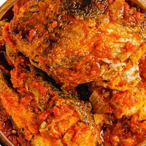 Croaker Fish